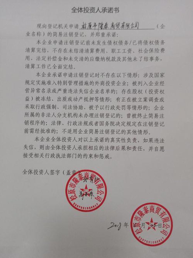 松原贸易公司的成功案例与策略分析